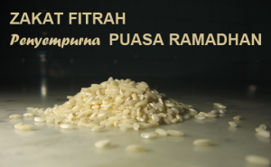 Read more about the article Zakat Fitrah Menyempurnakan Ibadah Puasa Ramadhan