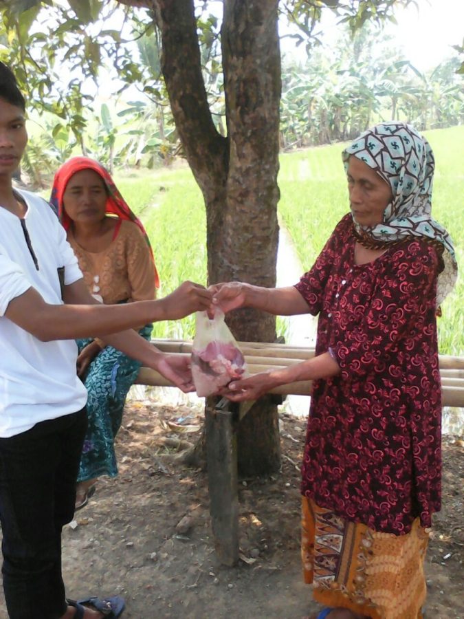 Read more about the article Kegiatan Pemotongan Hewan Qurban Bersama Anak Yatim