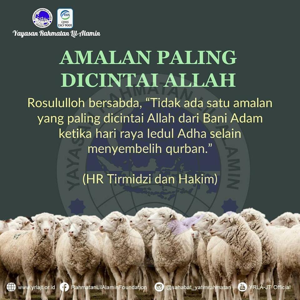 Read more about the article Keutamaan BerQurban