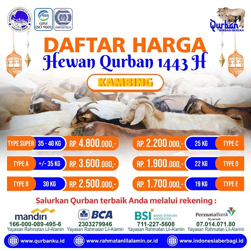 Read more about the article Mau Beli Hewan Qurban Online? Simak Ini Harganya
